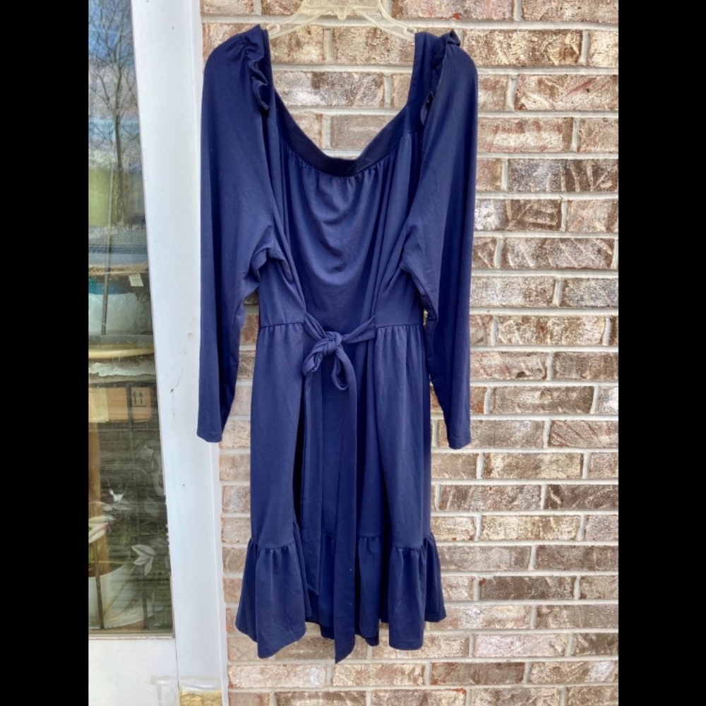 Blue 3X Ruffle Cottagecore Dress - Picture 5 of 6